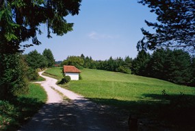 Quality hse+1.4 hectares farm landnr Cerknica.  Click here for more details.